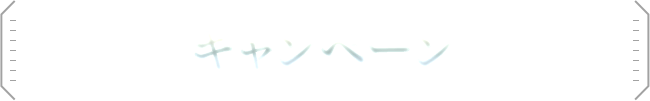 キャンペーン